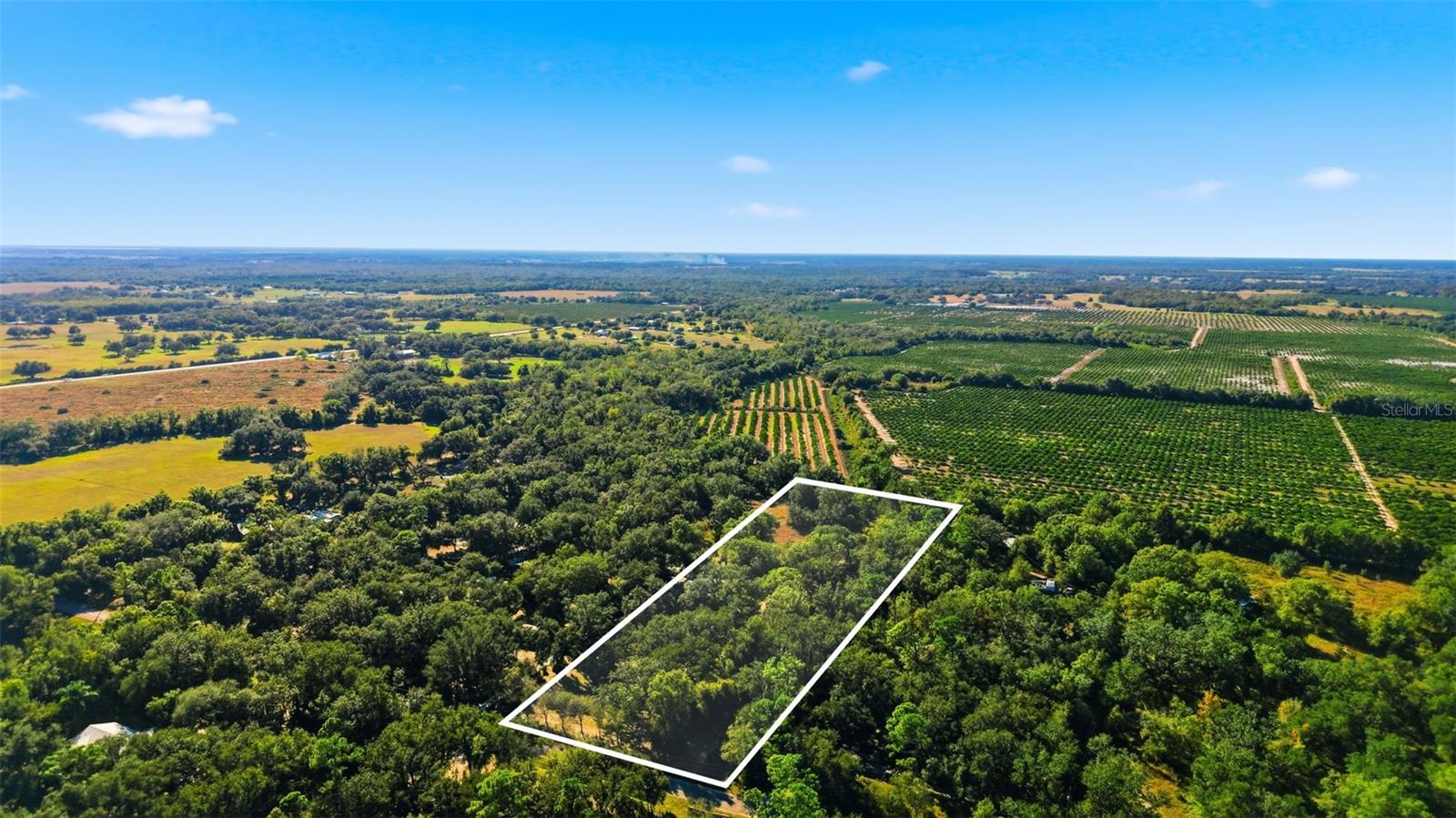 Image 43 of 50 For 1135 Pine Creek Avenue