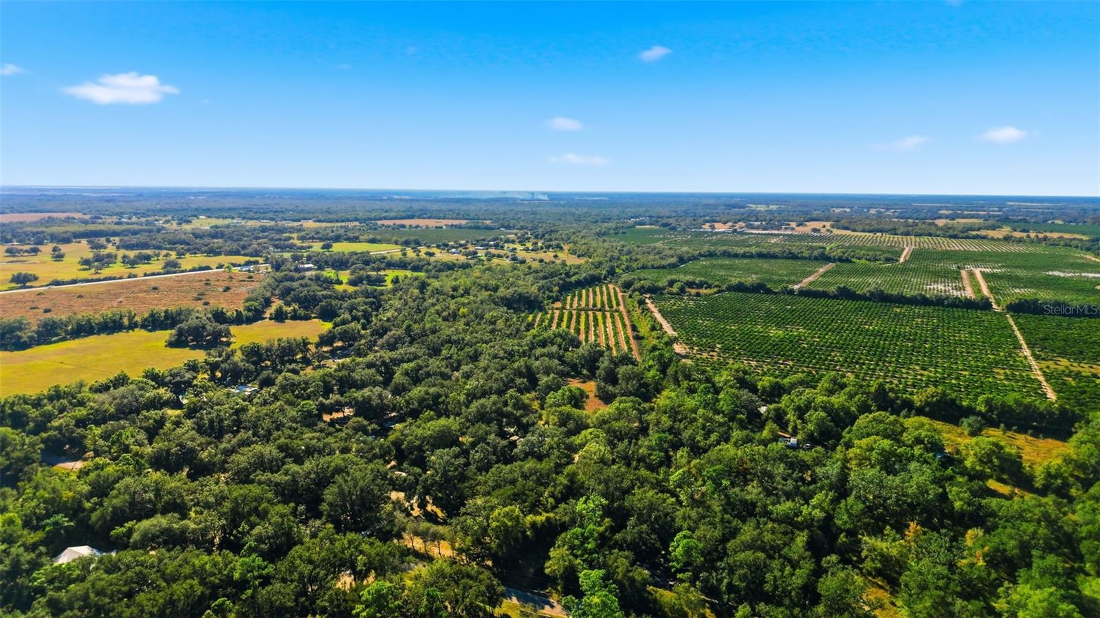 Image 46 of 50 For 1135 Pine Creek Avenue