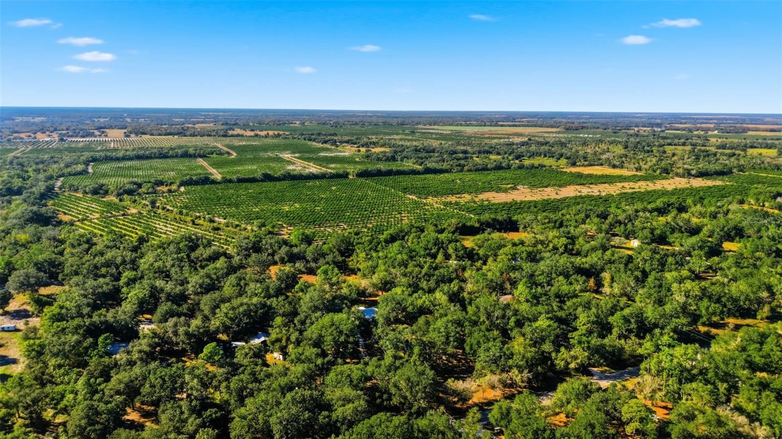 Image 47 of 50 For 1135 Pine Creek Avenue