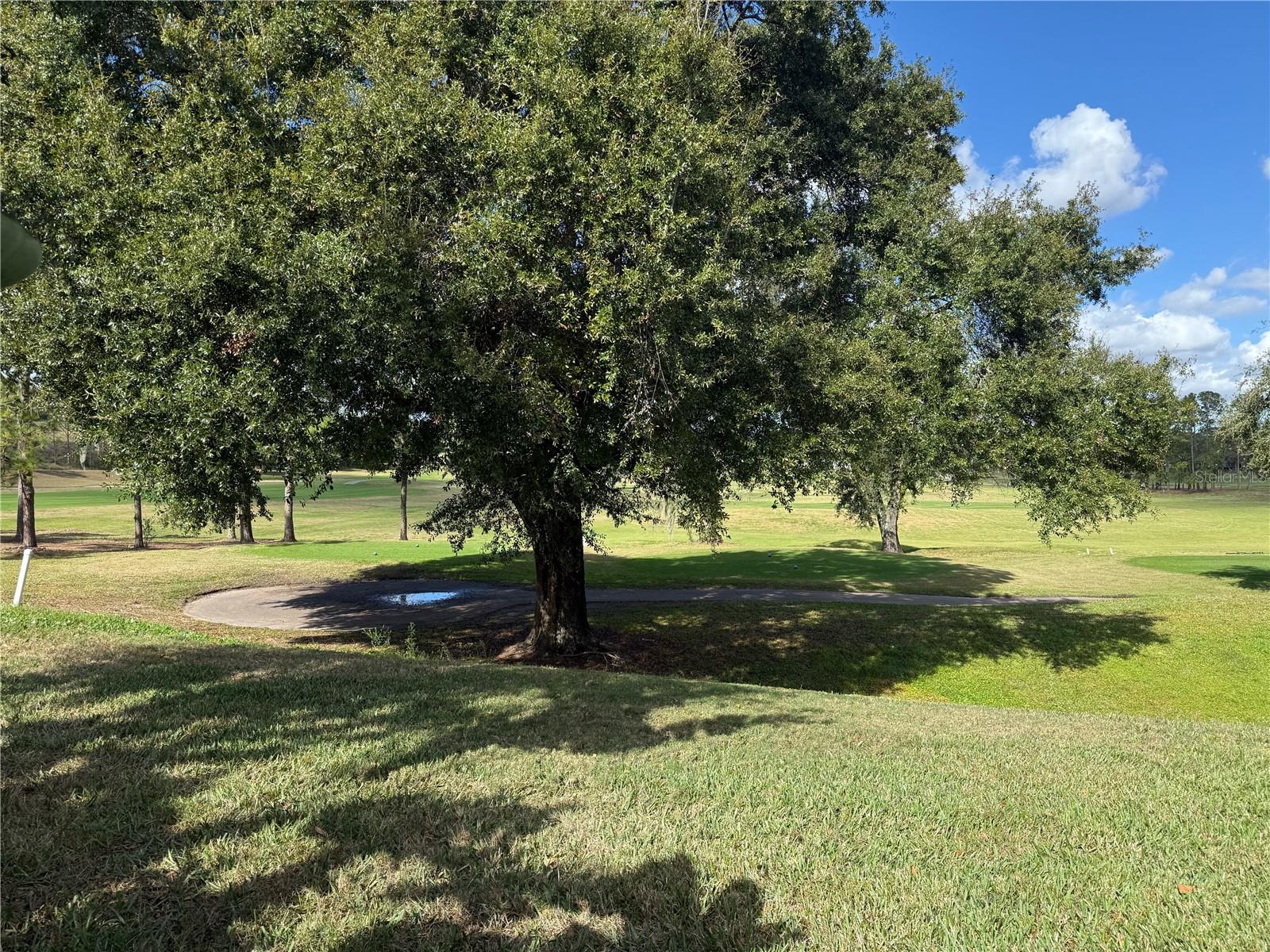 Image 32 of 49 For 2066 Dobson Street