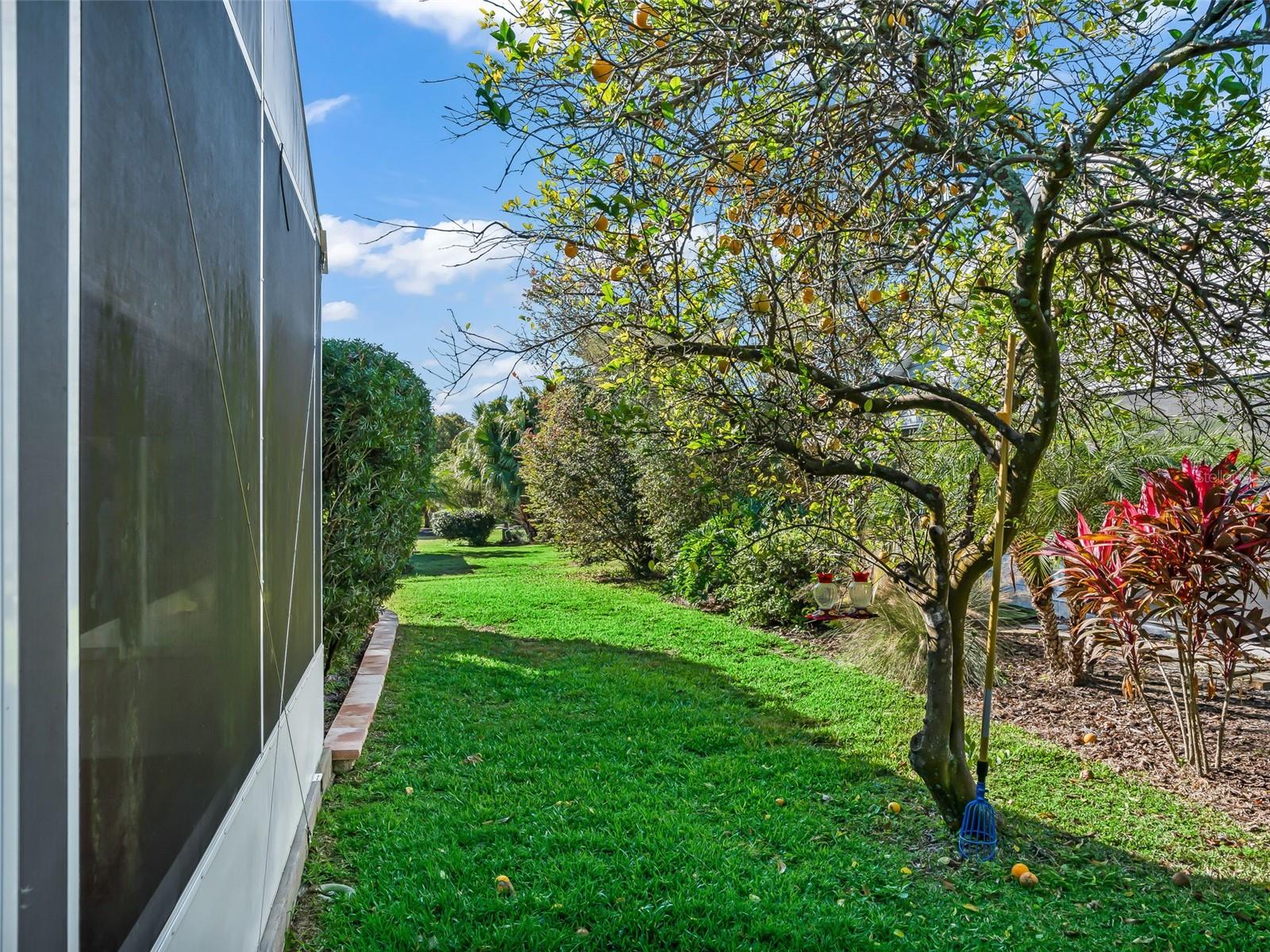 Image 58 of 65 For 8061 167th Hilltop Loop