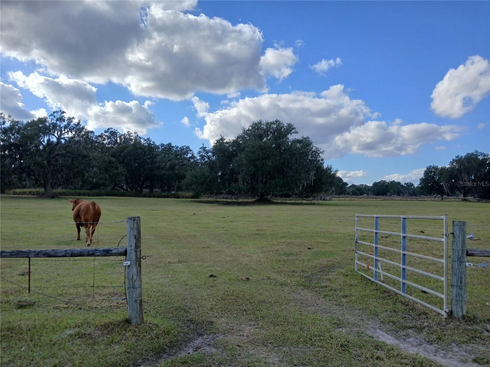 Details for 7975 Cr 736  , CENTER HILL, FL 33514