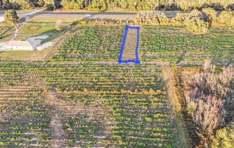 Listing photo id 0 for 00 Hwy 98  