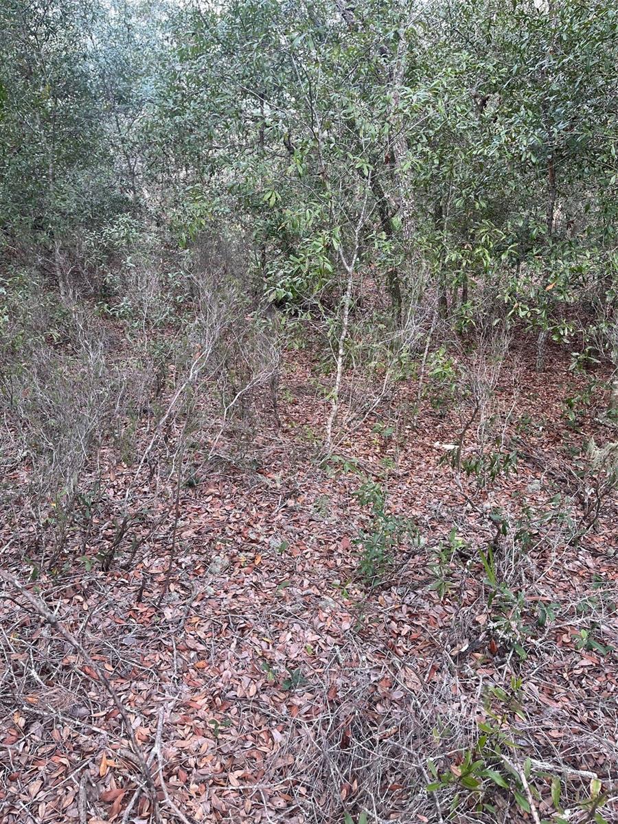 Image 2 of 4 For 0 82nd Place