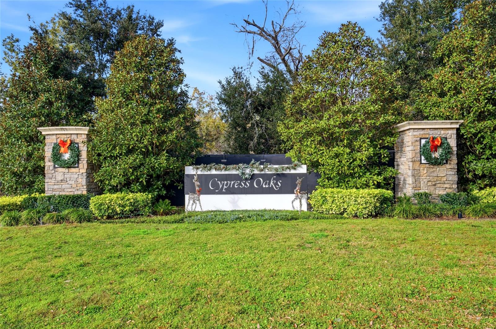 Image 49 of 49 For 151 Maravilla Way