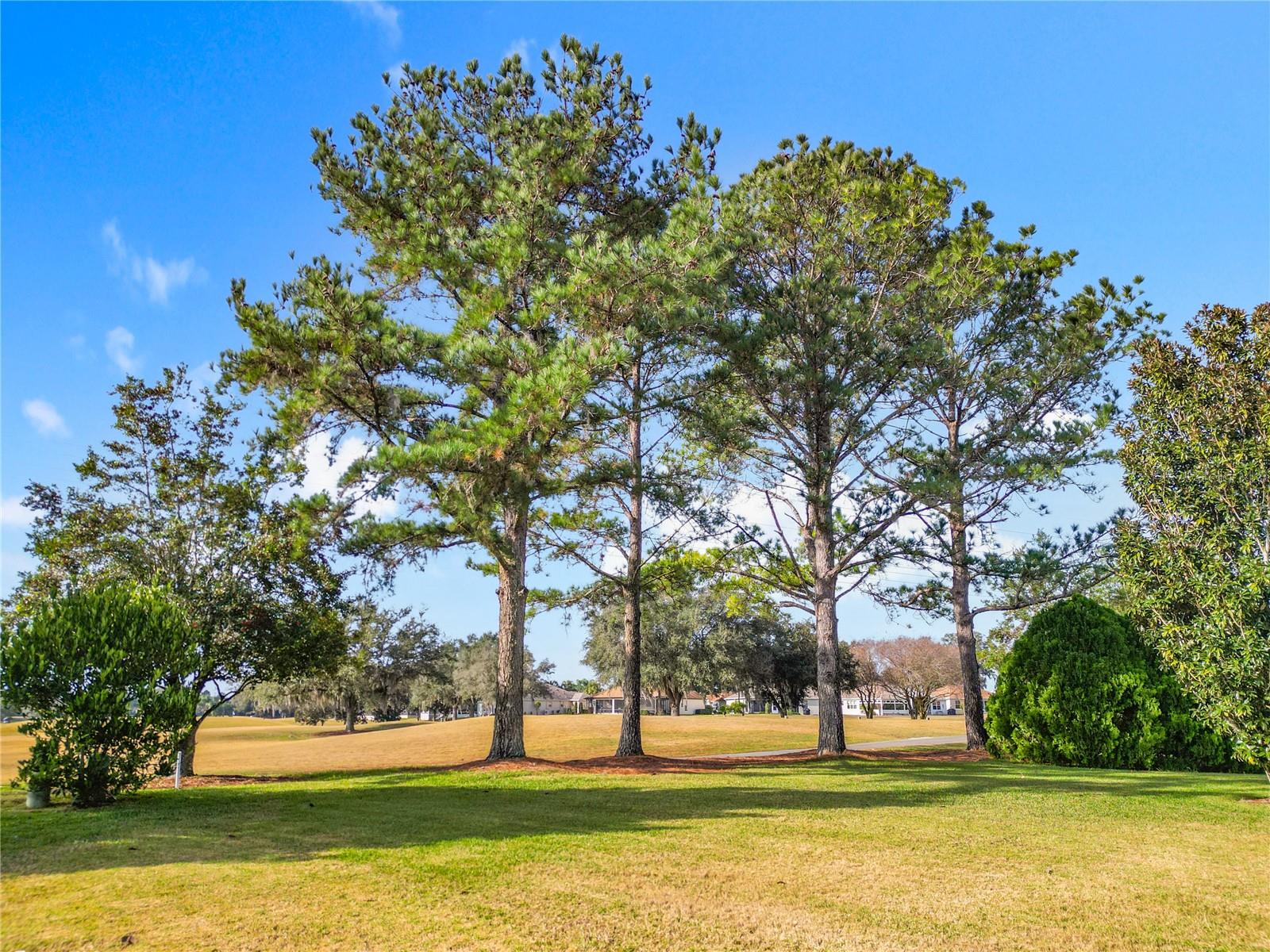 Image 55 of 68 For 16816 85th Sapelo Court