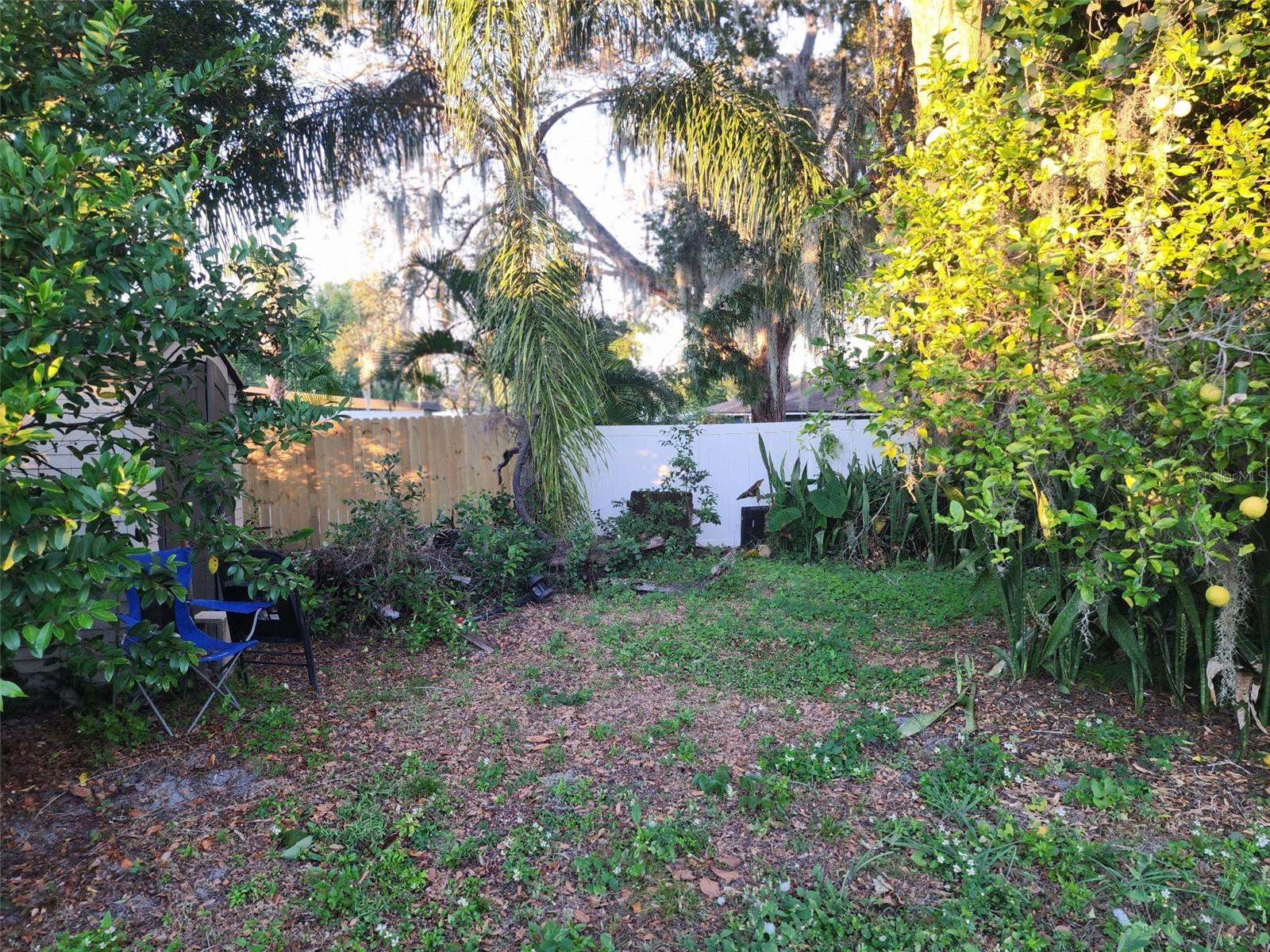 Image 10 of 25 For 709 Alton Avenue