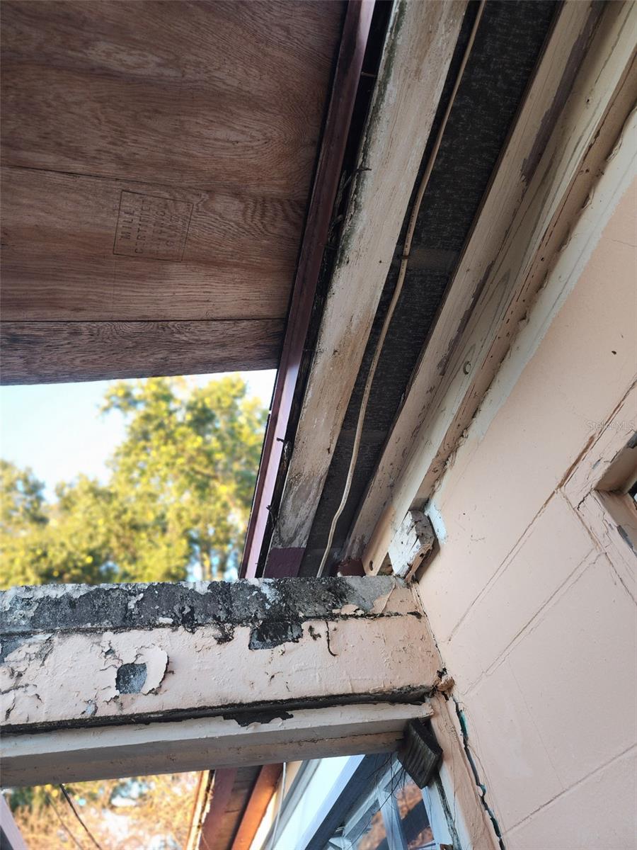 Image 12 of 25 For 709 Alton Avenue