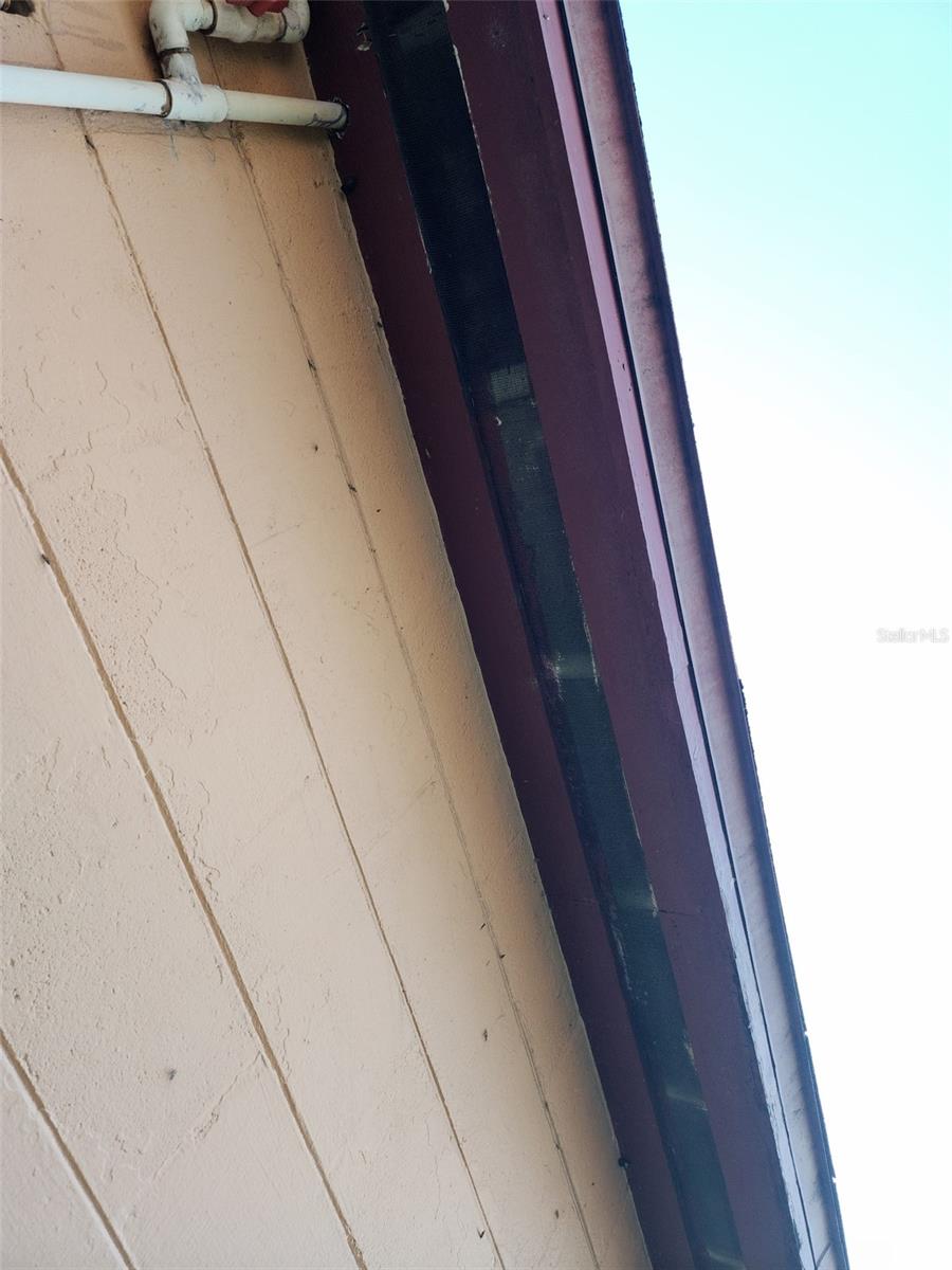 Image 14 of 25 For 709 Alton Avenue