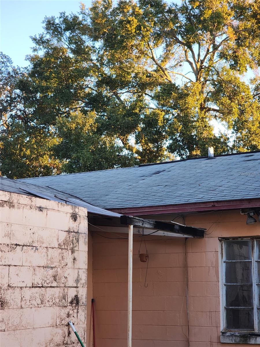 Image 8 of 25 For 709 Alton Avenue