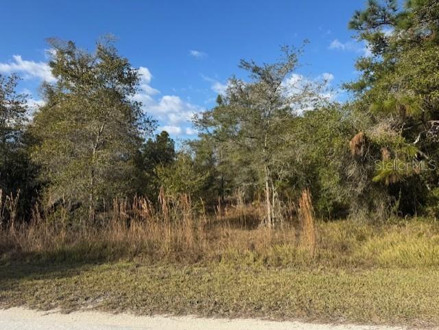 Details for 35367 Kramer Street, WEBSTER, FL 33597