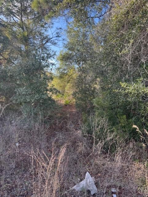 Image 12 of 13 For 35367 Kramer Street