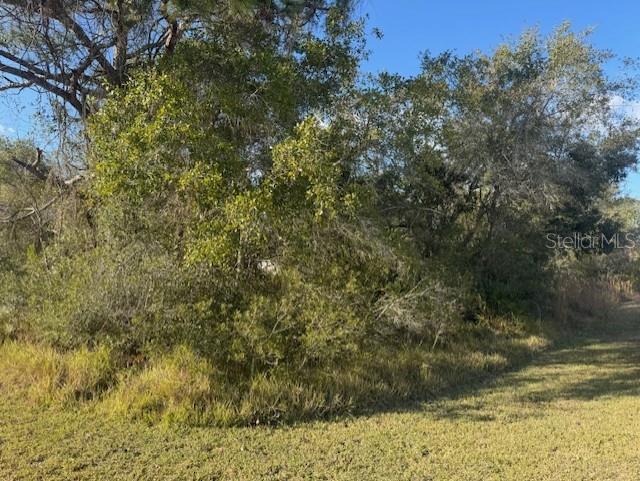 Image 4 of 13 For 35367 Kramer Street