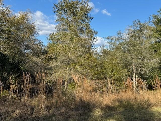 Image 6 of 13 For 35367 Kramer Street