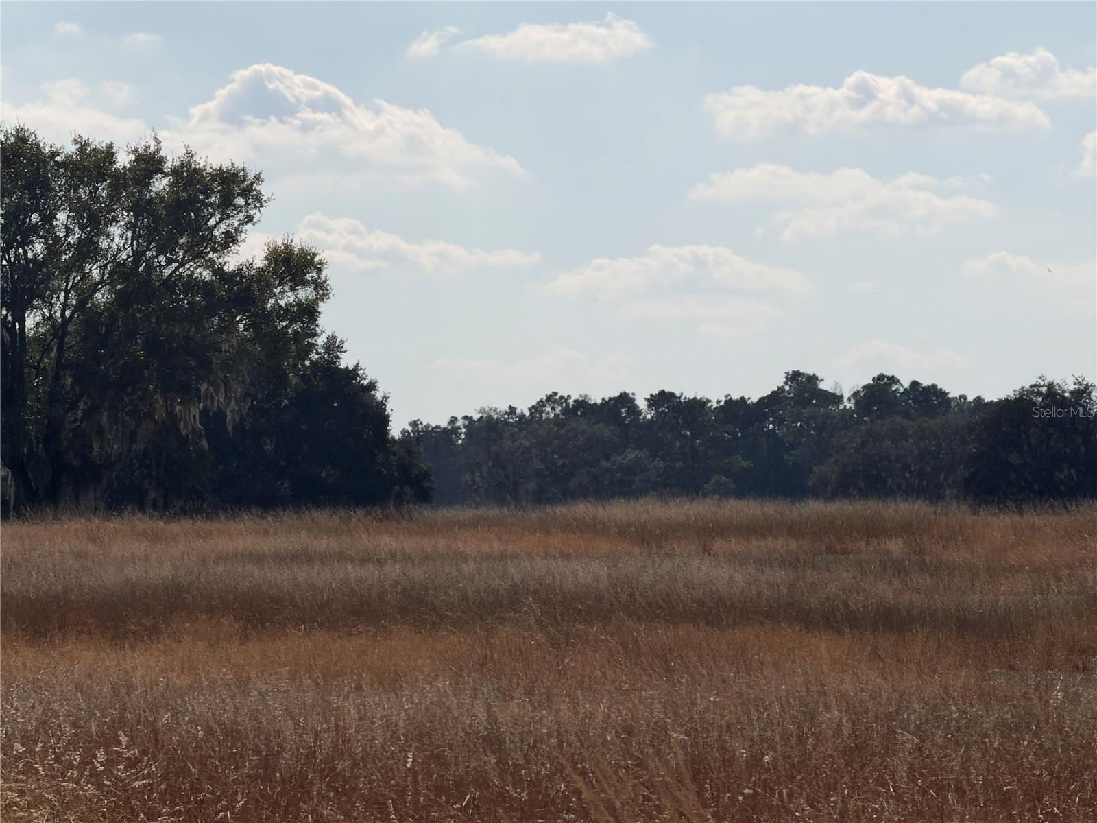 Image 10 of 14 For  Erie Road 