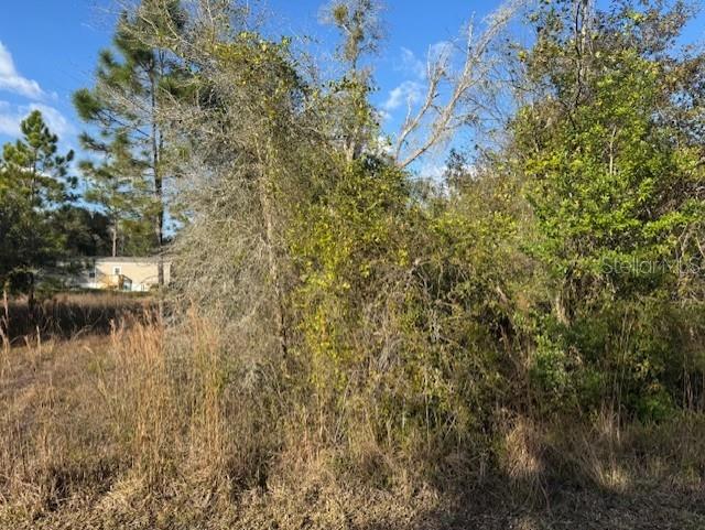 Image 10 of 13 For 35361 Kramer Street