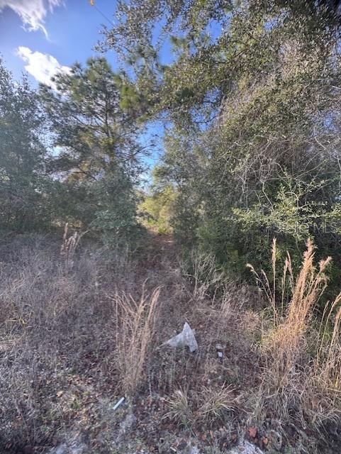 Image 11 of 13 For 35361 Kramer Street