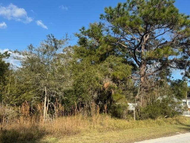 Image 7 of 13 For 35361 Kramer Street