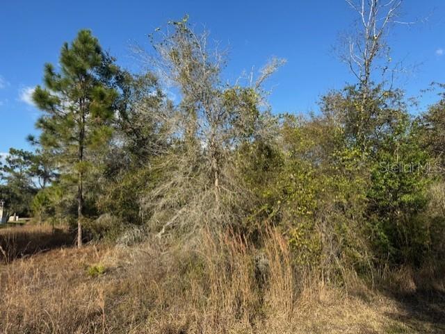 Image 8 of 13 For 35361 Kramer Street