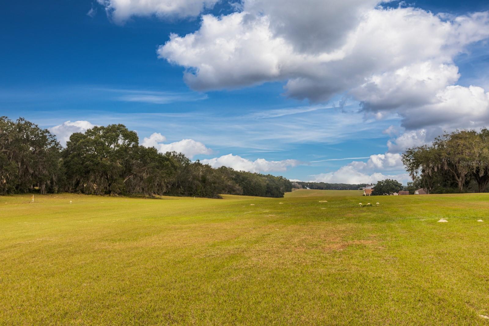 Details for 17520 159th Terrace, WEIRSDALE, FL 32195