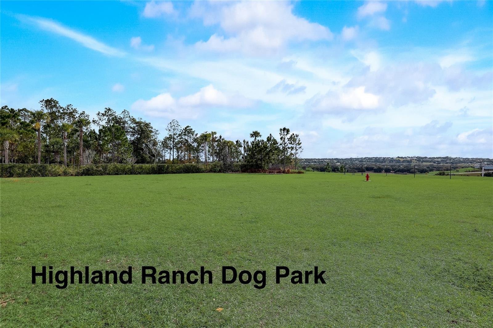 Image 45 of 50 For 1025 Sadie Ridge Road