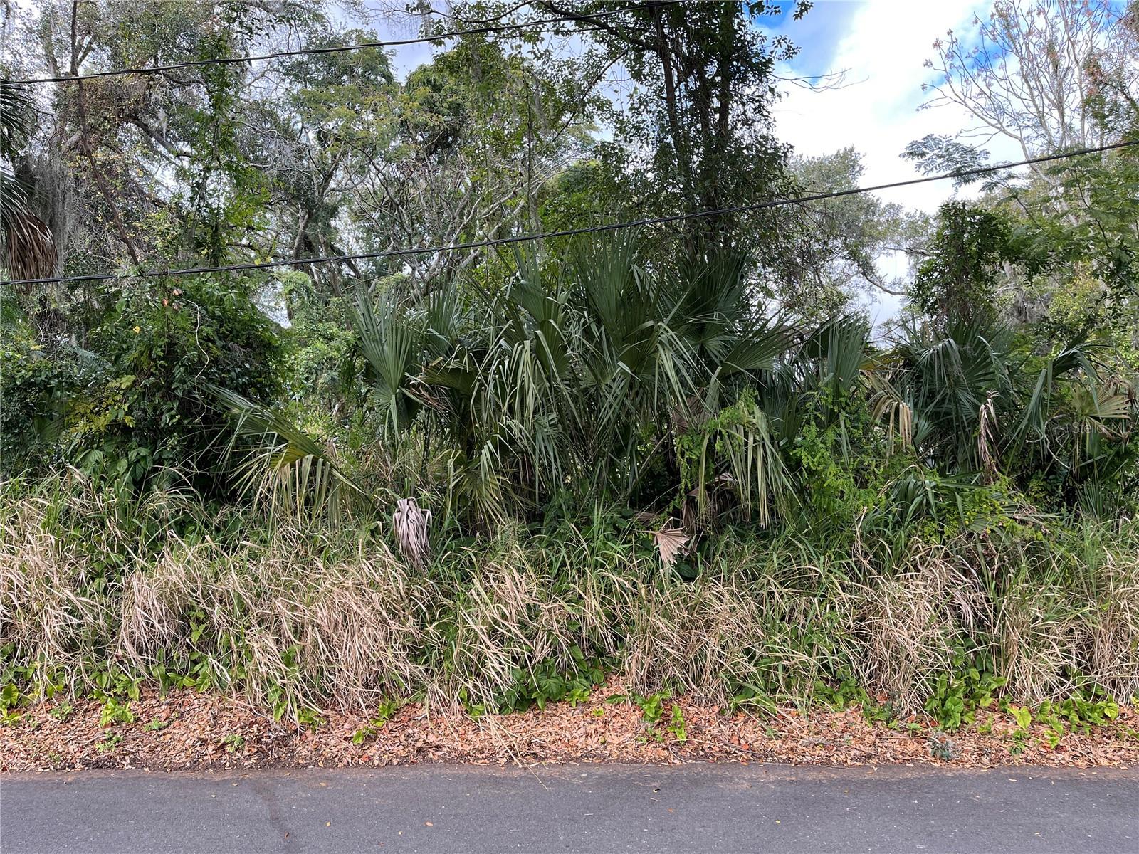 Image 2 of 6 For 0 Fruitland Street