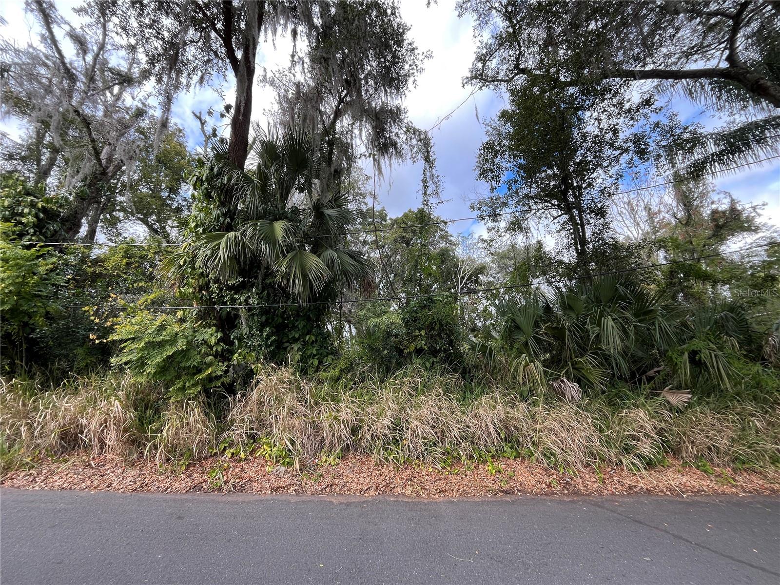 Image 3 of 6 For 0 Fruitland Street