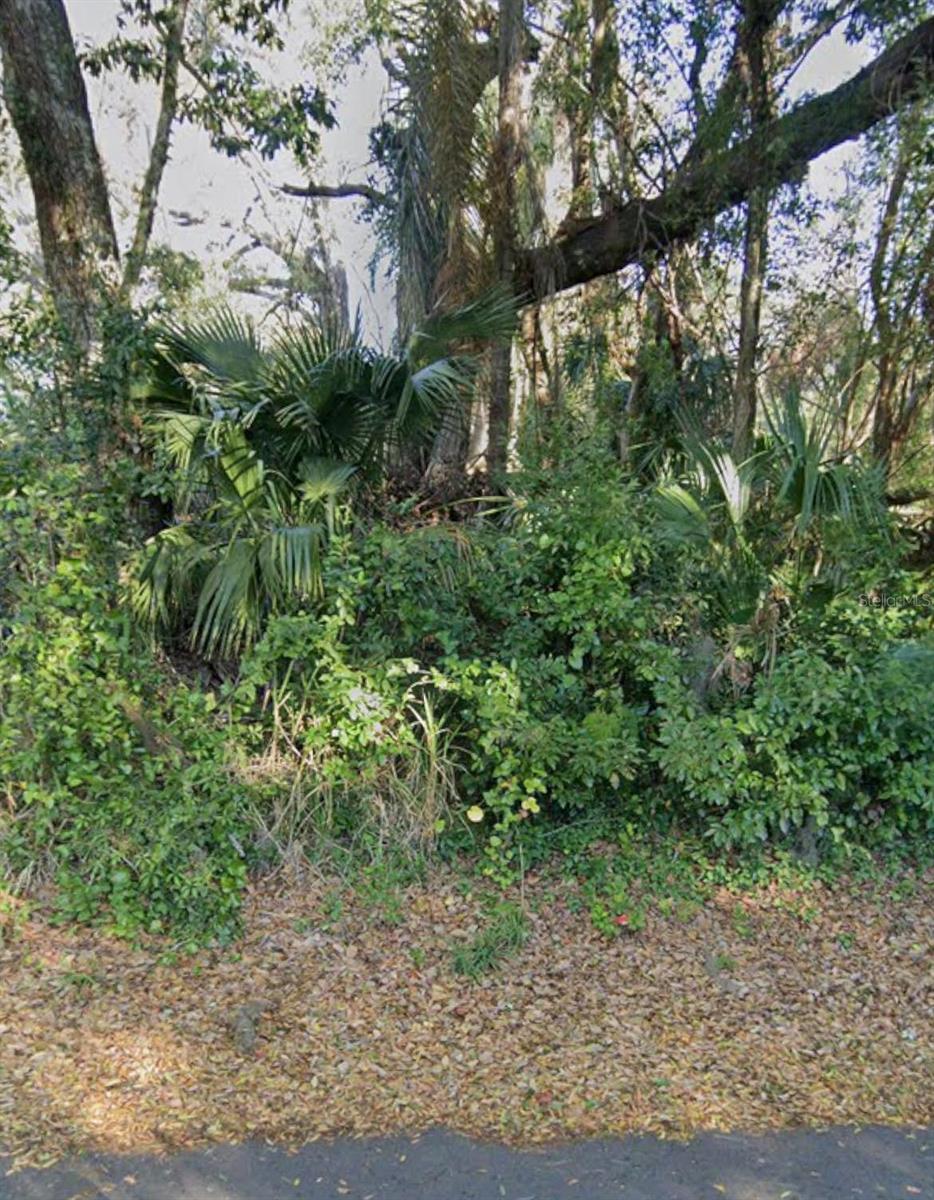 Image 5 of 6 For 0 Fruitland Street