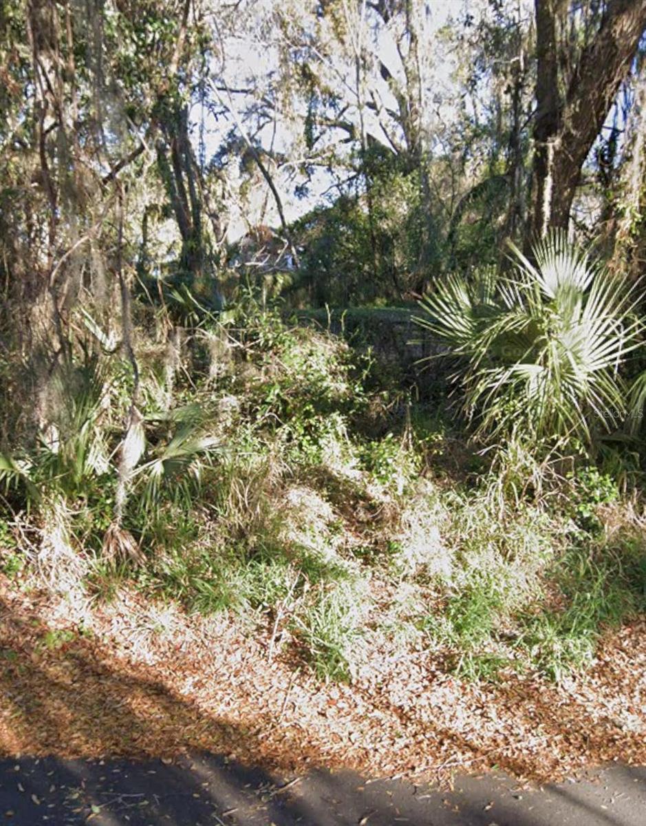 Image 6 of 6 For 0 Fruitland Street