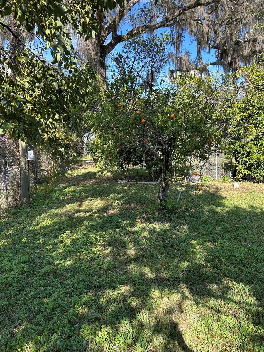 Image 25 of 28 For 20621 Highway 42