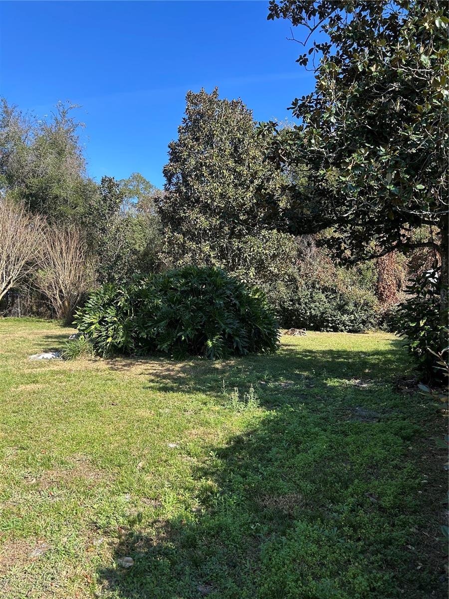 Image 5 of 28 For 20621 Highway 42