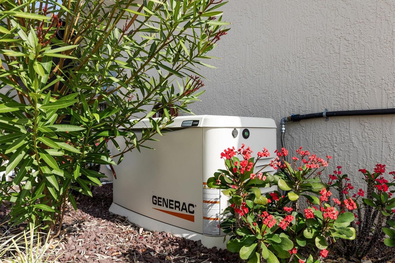 Image 6 of 66 For 4515 Biggs Place