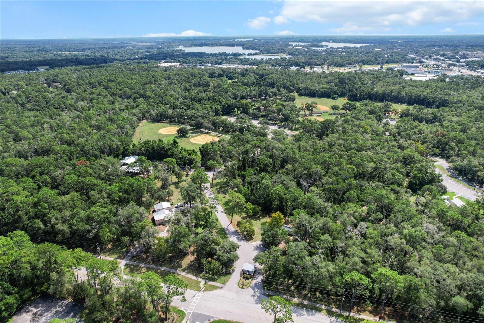 Image 39 of 46 For 6585 Holly Street