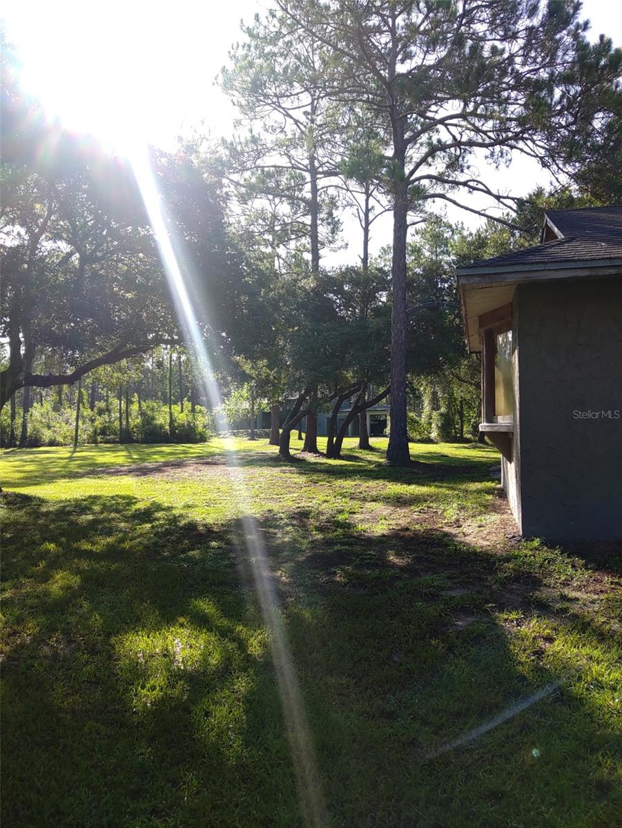 Image 57 of 57 For 10411 County Road 474