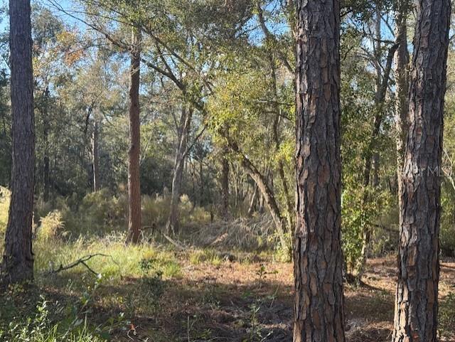 Image 10 of 12 For 6355 Treiman Boulevard