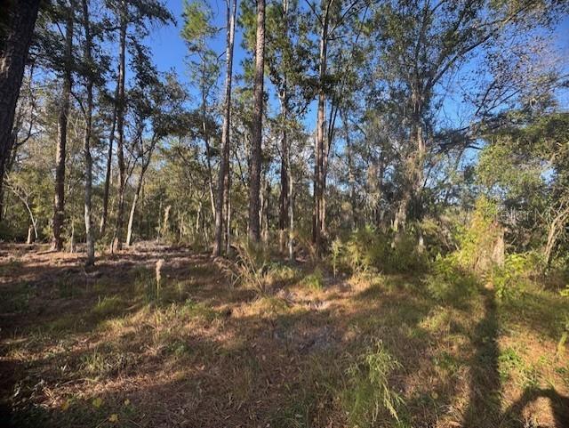 Image 11 of 12 For 6355 Treiman Boulevard