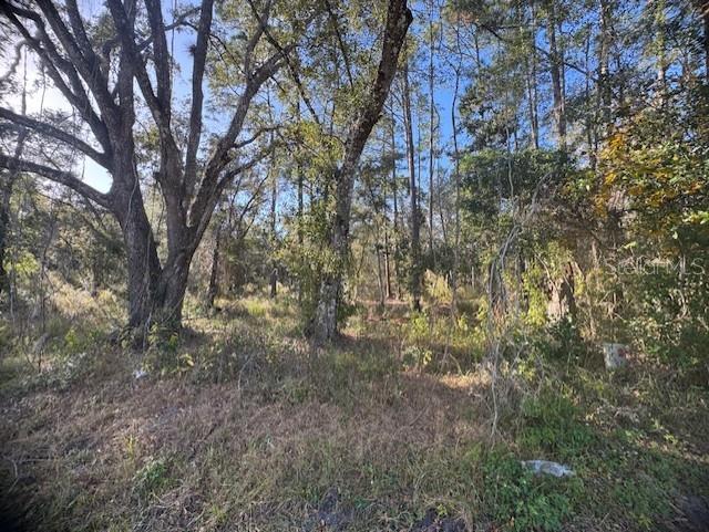 Image 3 of 12 For 6355 Treiman Boulevard