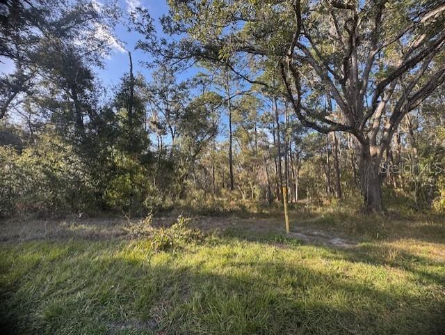 Image 4 of 12 For 6355 Treiman Boulevard