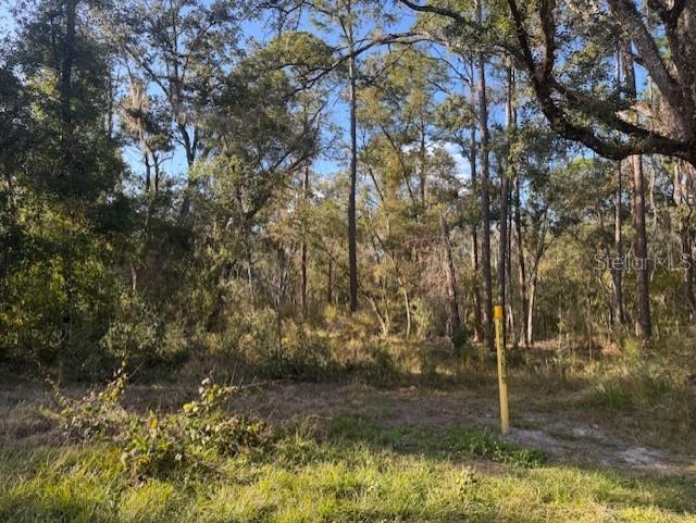 Image 5 of 12 For 6355 Treiman Boulevard