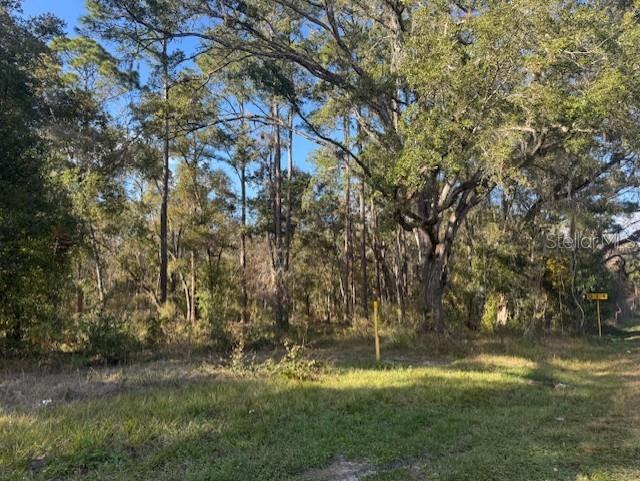 Image 7 of 12 For 6355 Treiman Boulevard