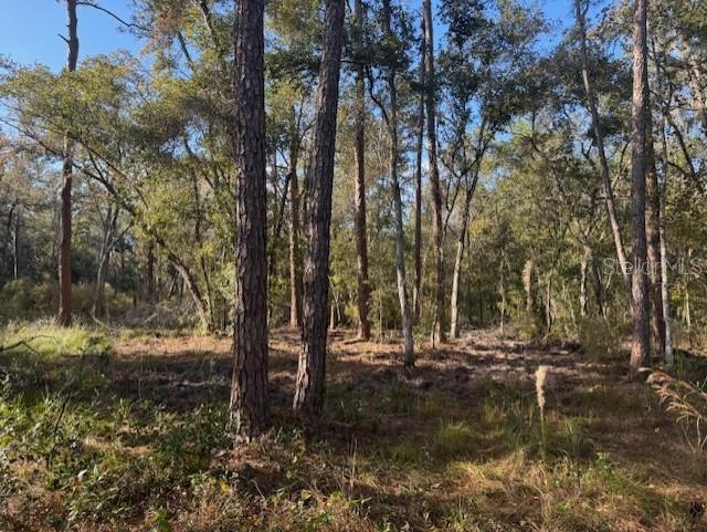 Image 8 of 12 For 6355 Treiman Boulevard