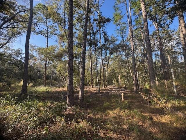 Image 9 of 12 For 6355 Treiman Boulevard