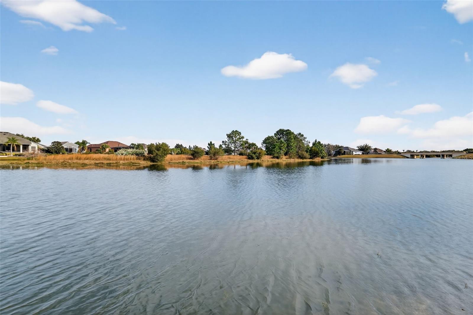 Image 43 of 57 For 8916 Bridgeport Bay Circle