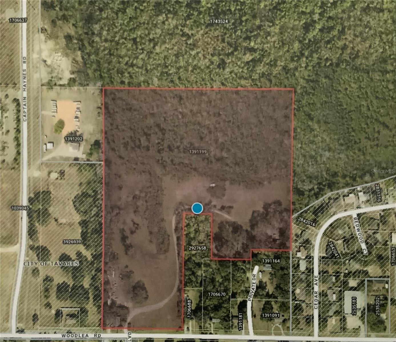 Details for 12301 Woodlea Road, TAVARES, FL 32778