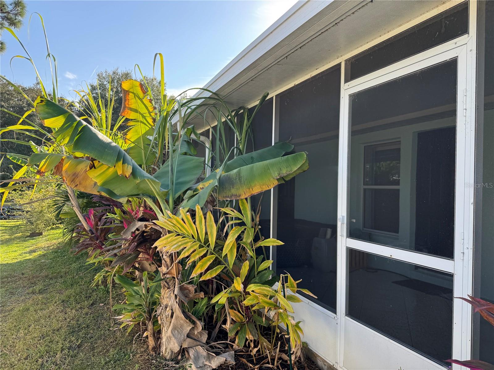 Image 28 of 42 For 33635 Jeffery Court