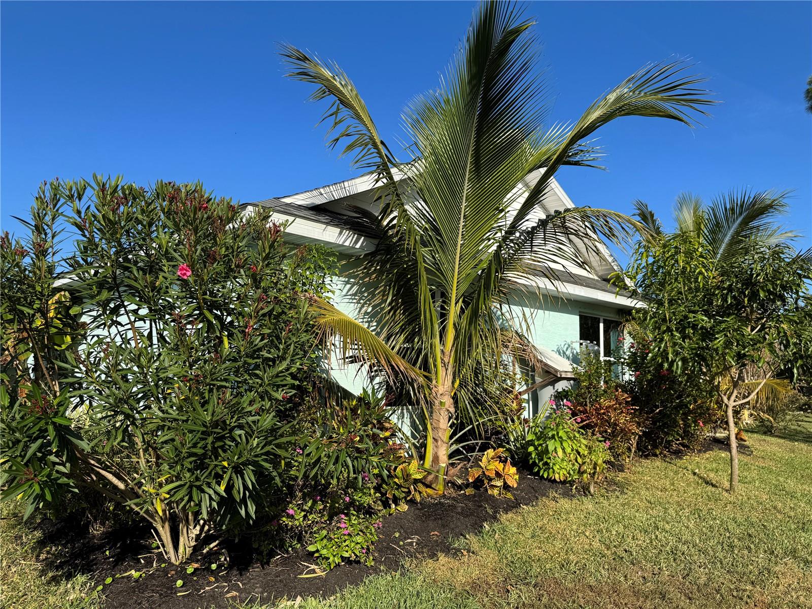 Image 29 of 42 For 33635 Jeffery Court