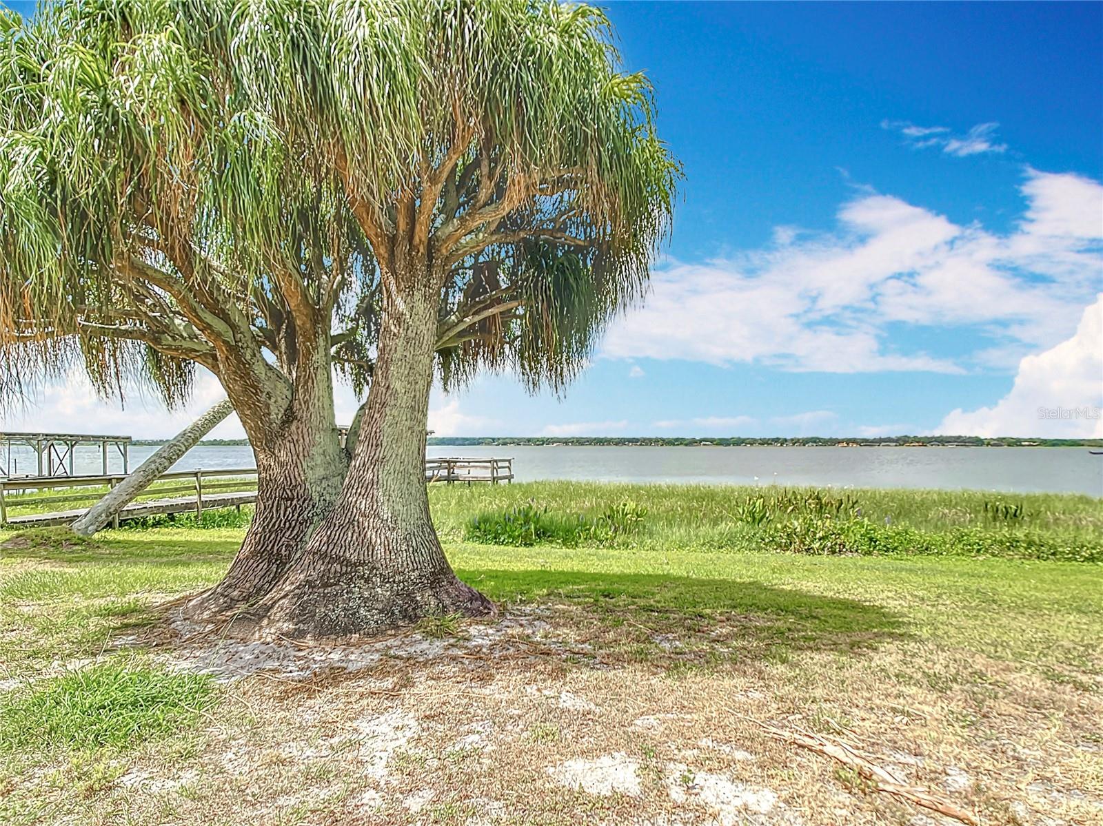 Image 61 of 83 For 33620 Picciola Drive