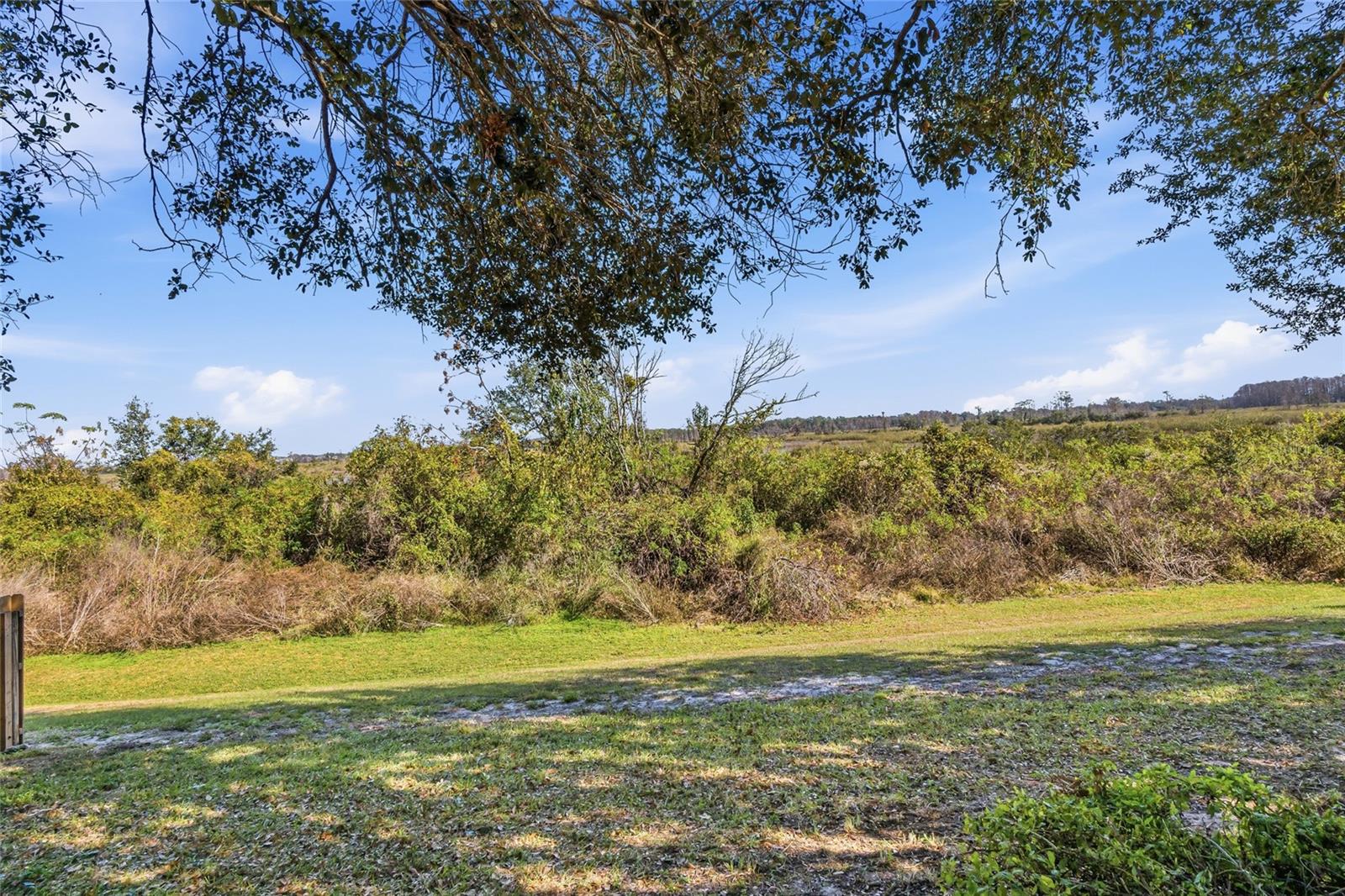 Image 43 of 53 For 1037 Bluegrass Drive