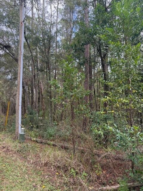 Image 3 of 3 For 1074 Legion Court