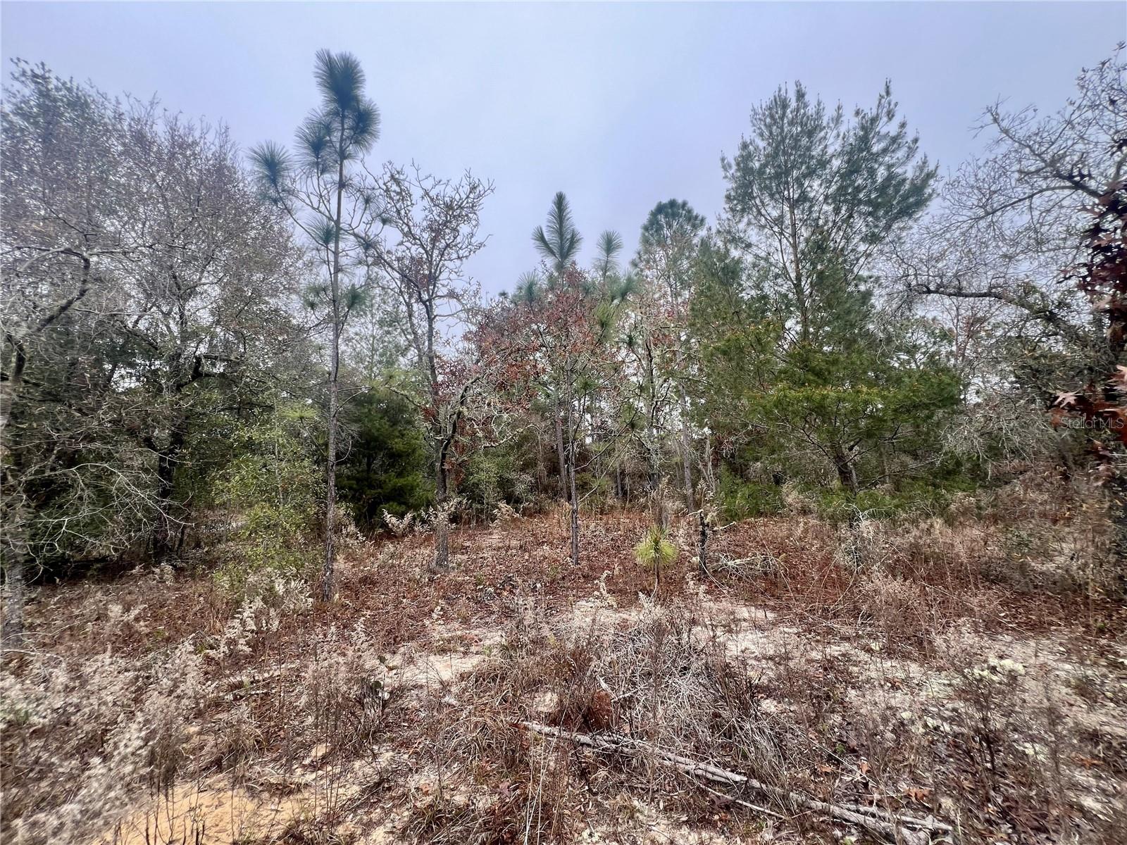 Listing photo id 9 for 7983 Jamaica Drive